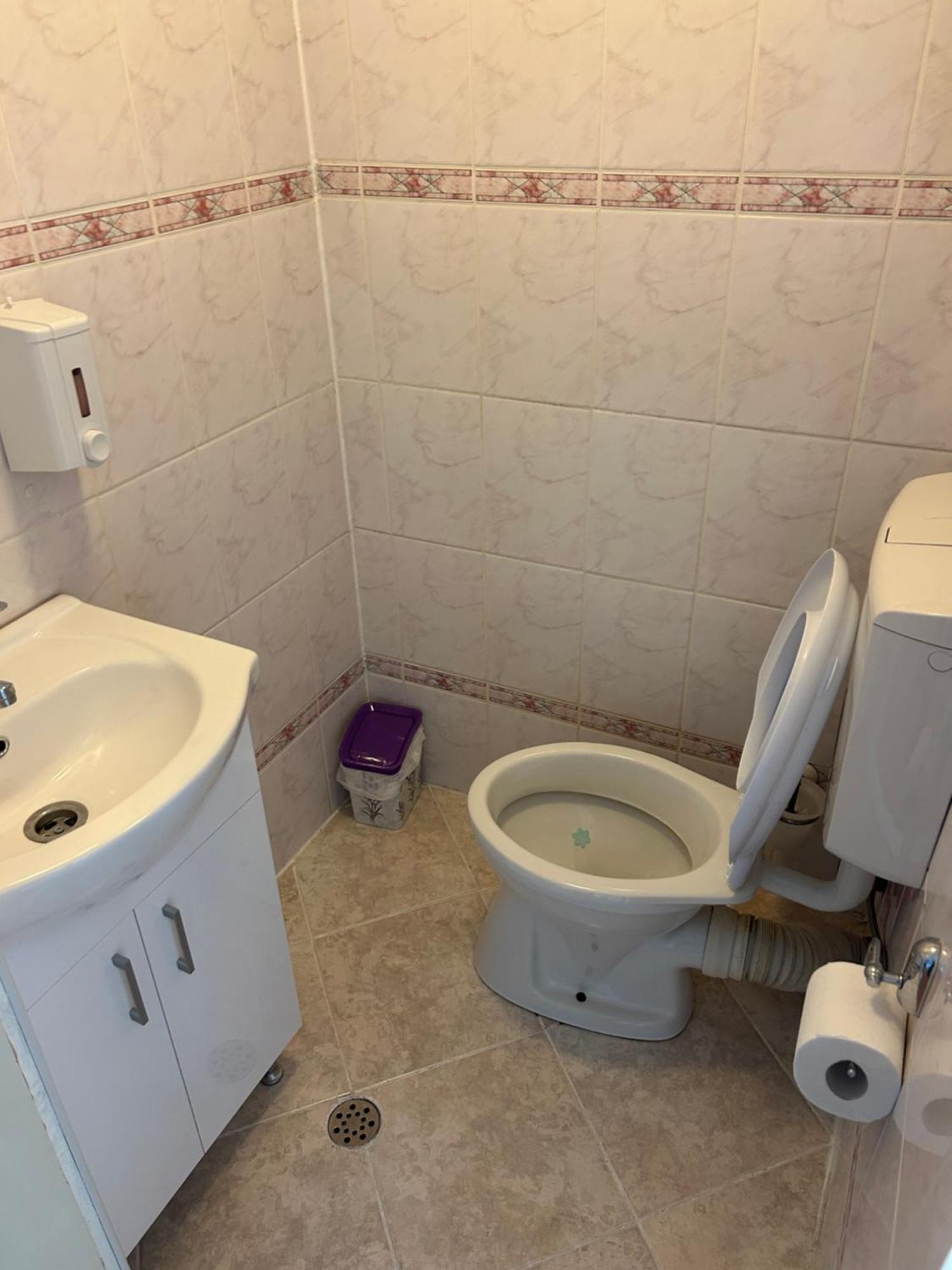Bivolul Negru Appartement Blaj Buitenkant foto