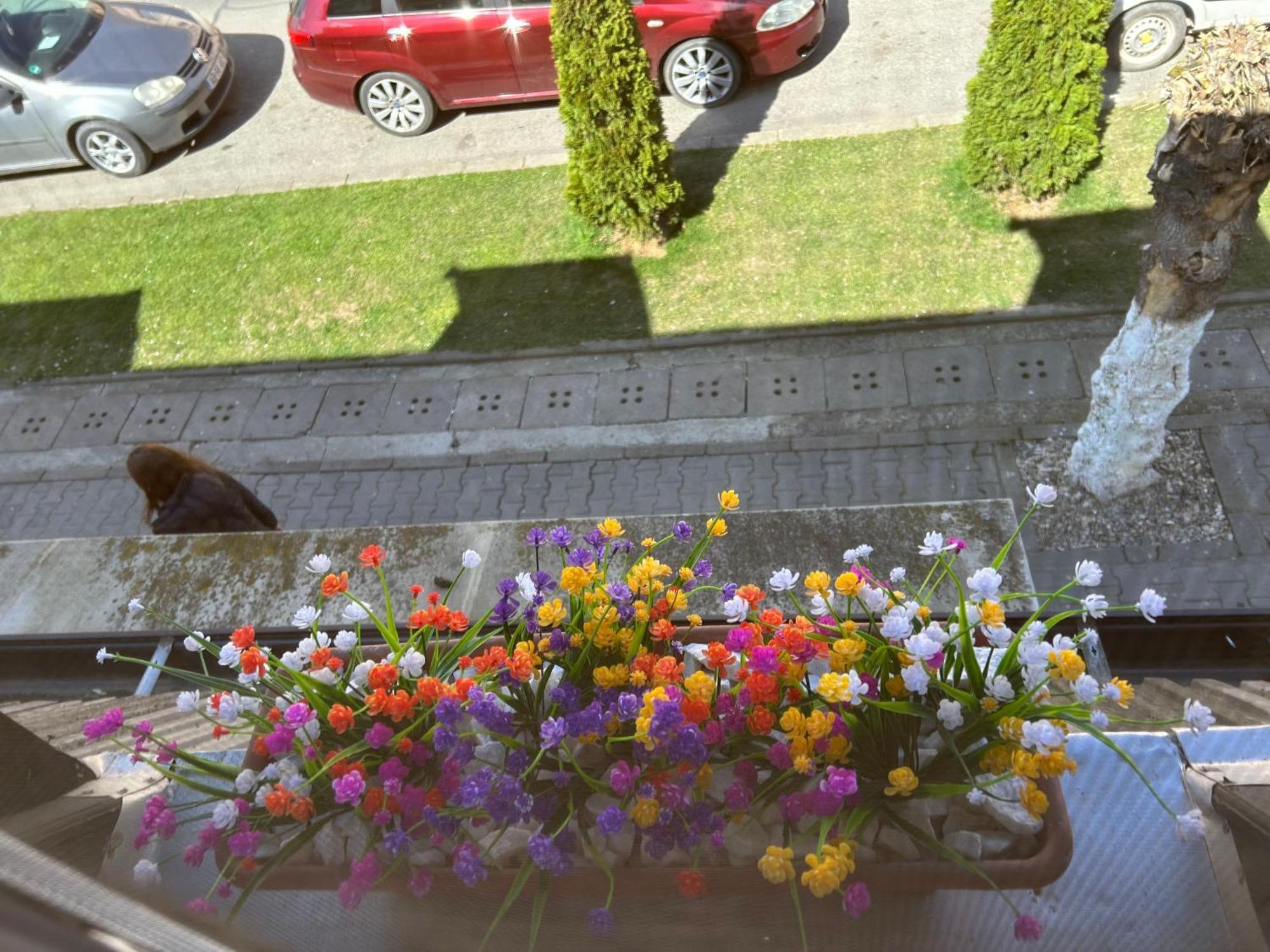 Bivolul Negru Appartement Blaj Buitenkant foto